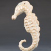 Seahorse sculpture by Charlotte Springer