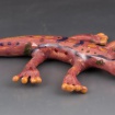 Colorful salamander by Grace Lundeen